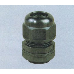 MGN-20